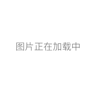 上海恒平JA21002P硬質泡沫吸水率天平、測定儀/2100g/0.01g